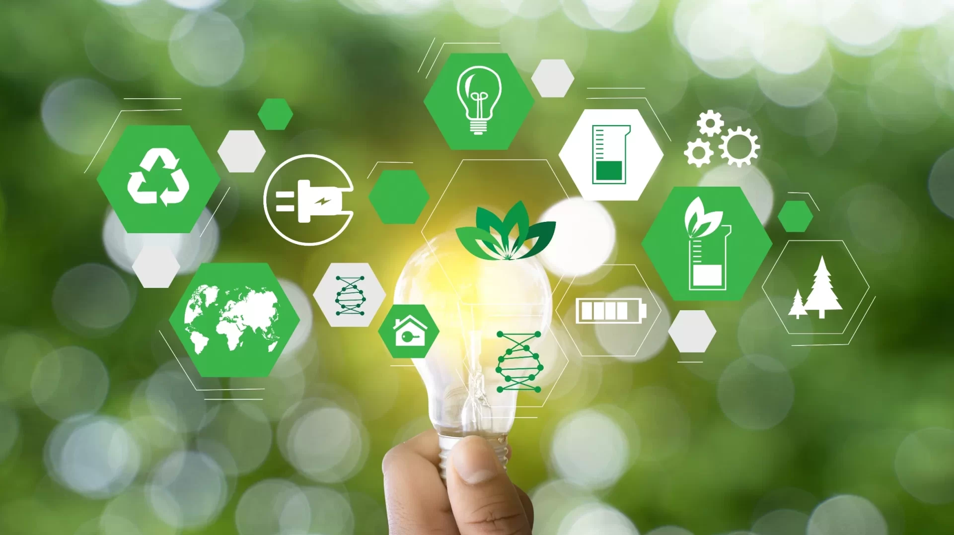 Green hardware regulation and sustainable product design